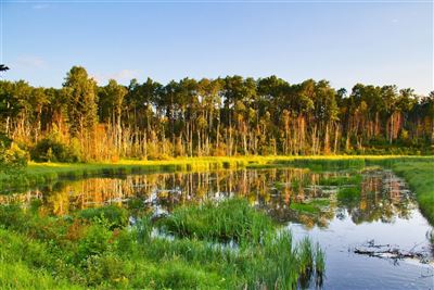 Prince Albert Nationalpark